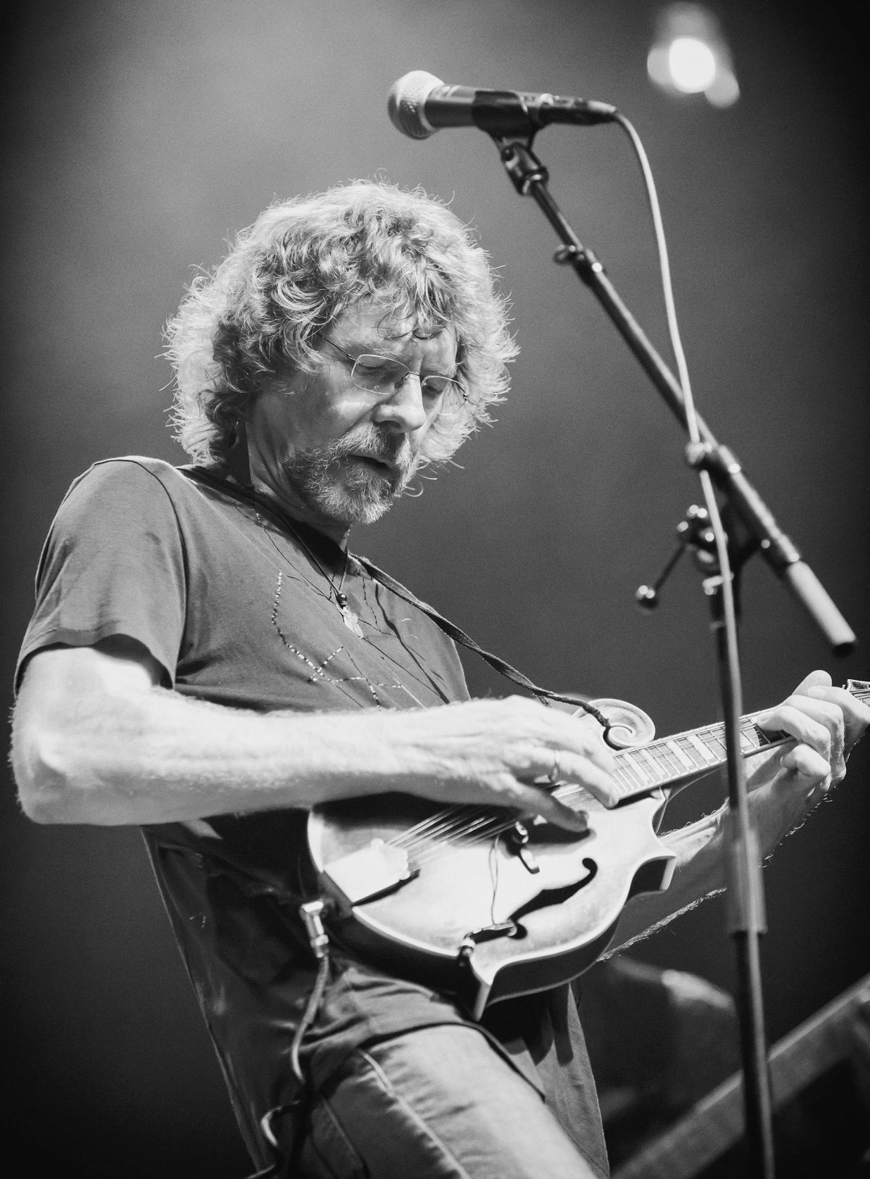 Targuee Bluegrass